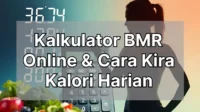 Kalkulator BMR Online & Cara Kira Kalori Harian