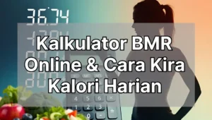 Kalkulator BMR Online & Cara Kira Kalori Harian