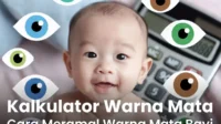 Kalkulator Warna Mata Cara Meramal Warna Mata Bayi