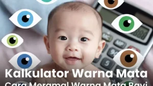 Kalkulator Warna Mata Cara Meramal Warna Mata Bayi
